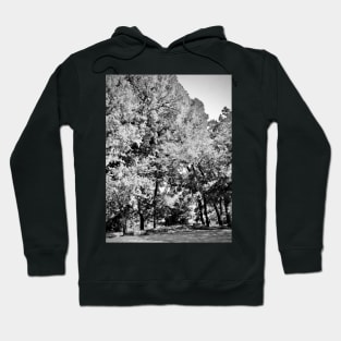 Oak Trees Hoodie